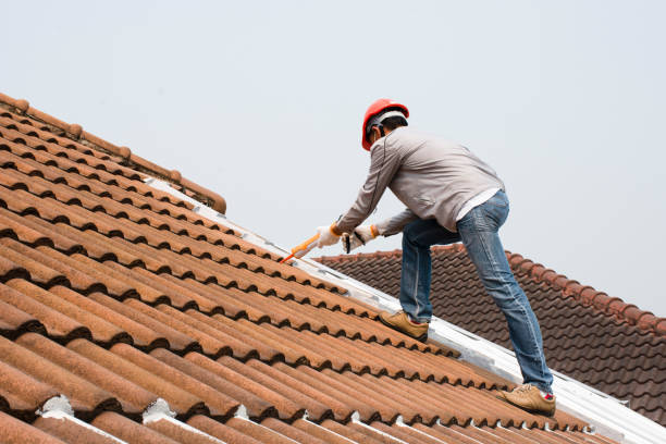 Reliable Fort Lewis, WA Roofing services Solutions